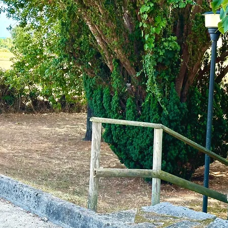 S214 - Sirolo, Trilocale Con Giardino In Zona Tranquilla * Sirolo